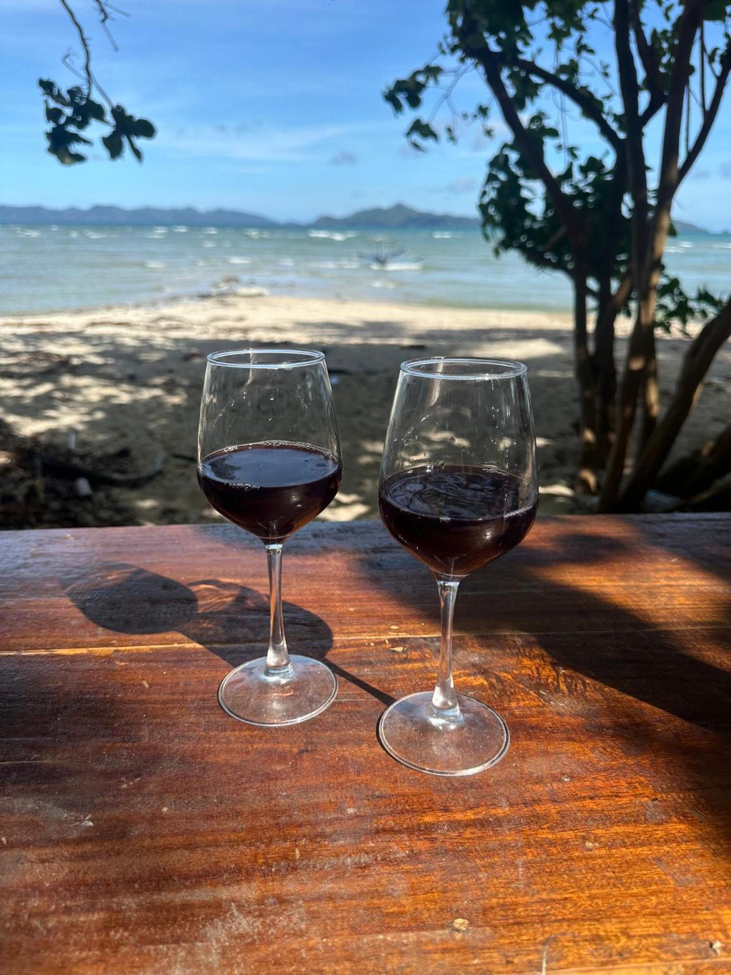Efrena Agro Tourism Beach 爱妮岛 外观 照片