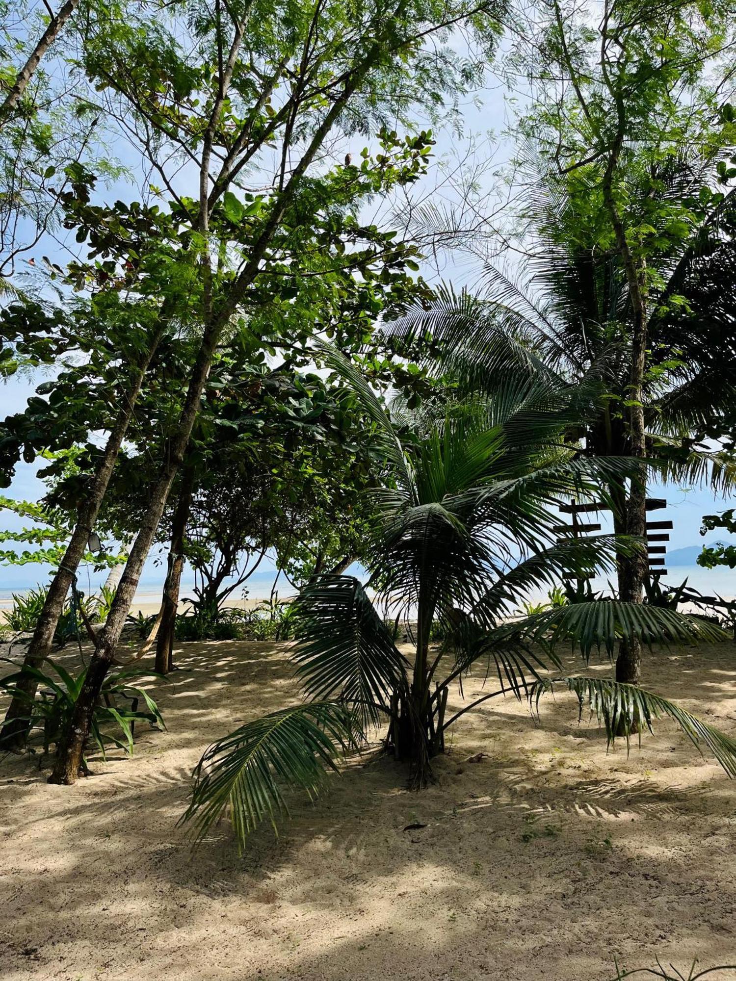 Efrena Agro Tourism Beach 爱妮岛 外观 照片