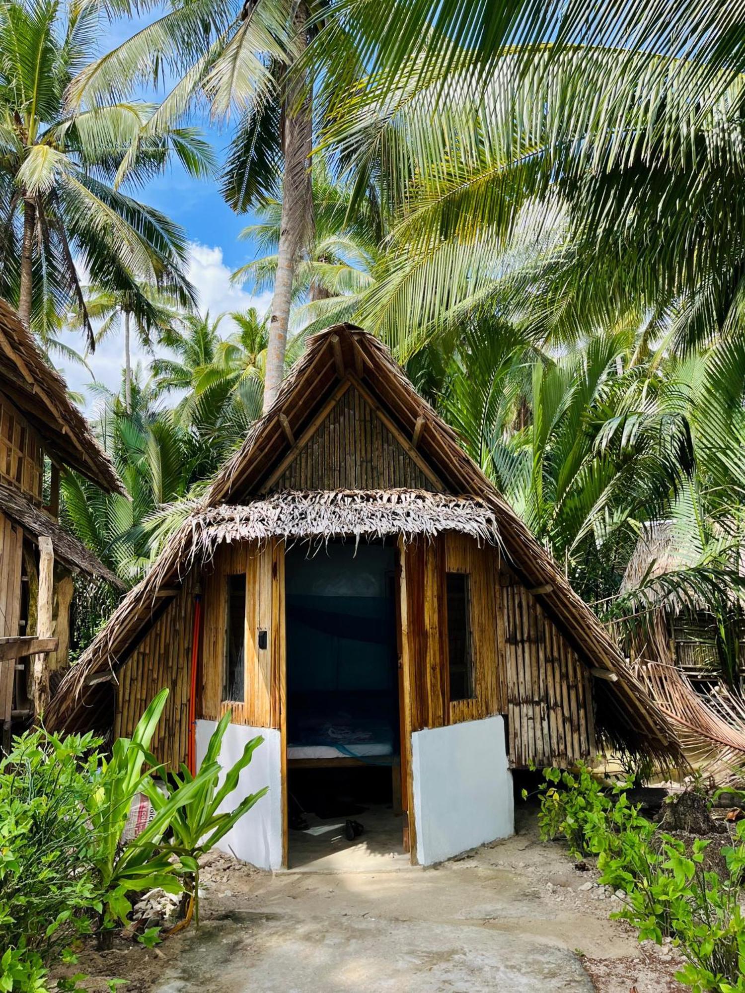 Efrena Agro Tourism Beach 爱妮岛 外观 照片