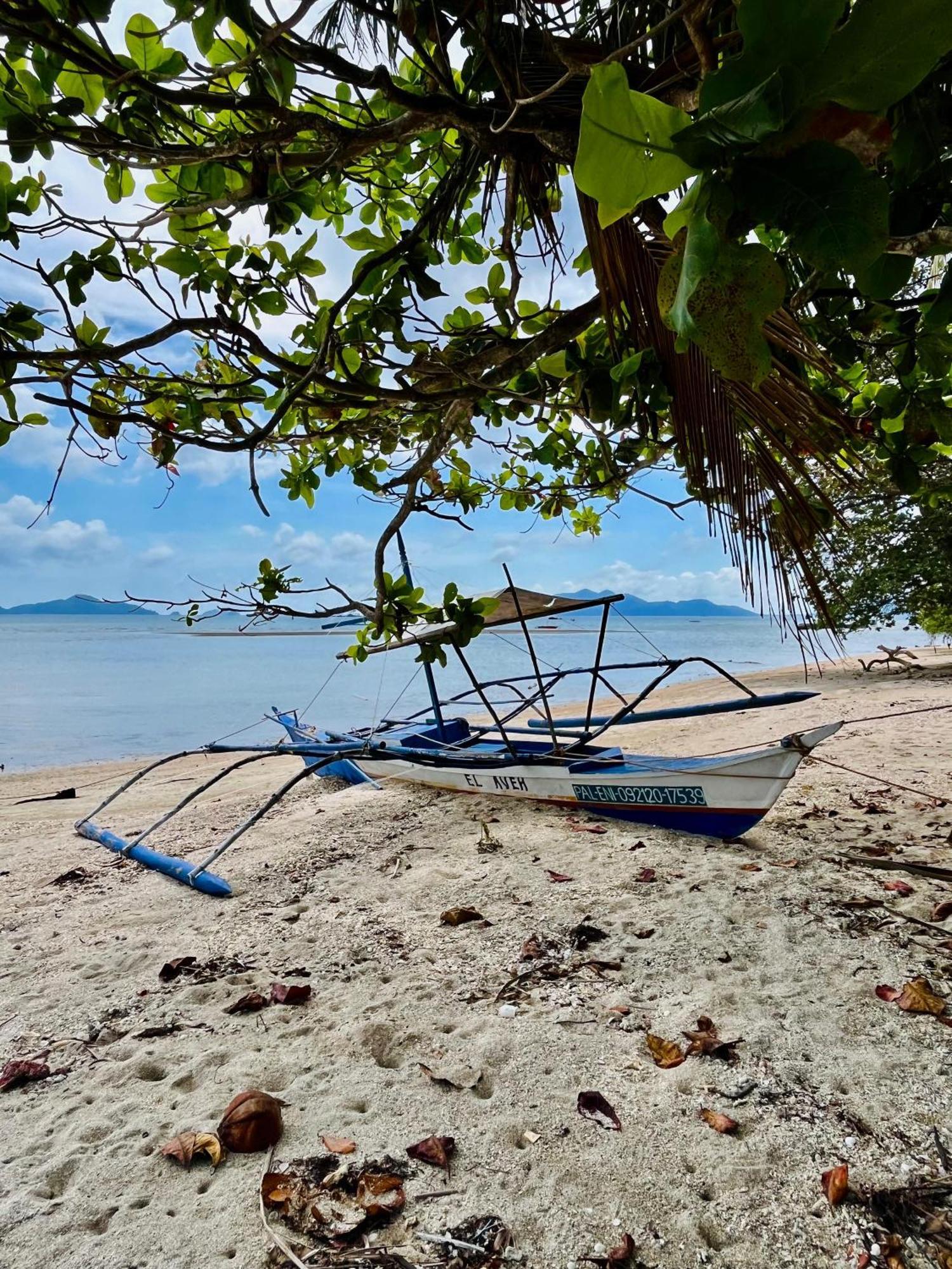 Efrena Agro Tourism Beach 爱妮岛 外观 照片