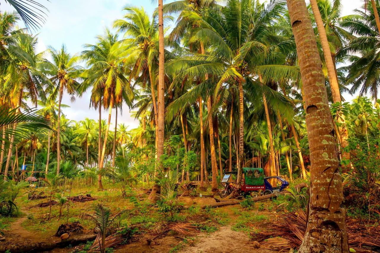 Efrena Agro Tourism Beach 爱妮岛 外观 照片